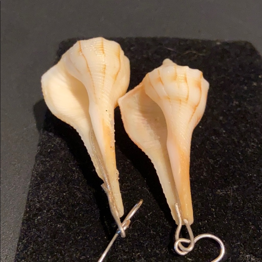 Hand Made SeaShell Earrings - Picture 5 of 5